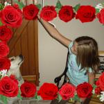 IMGP0959