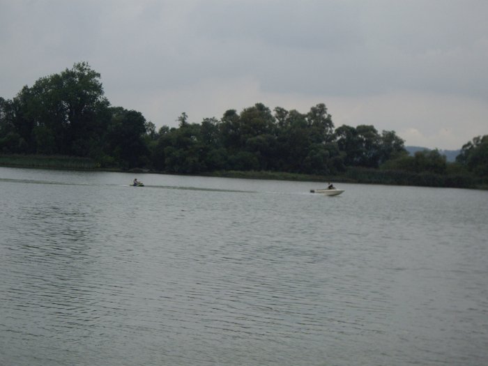IMGP0979