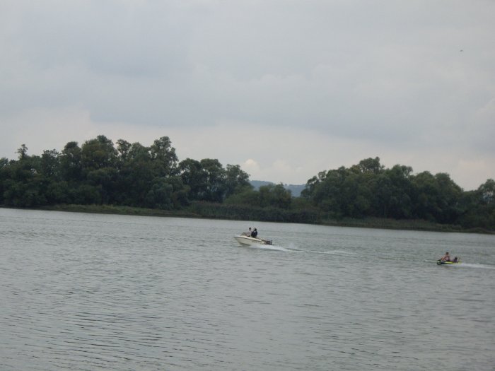 IMGP0980