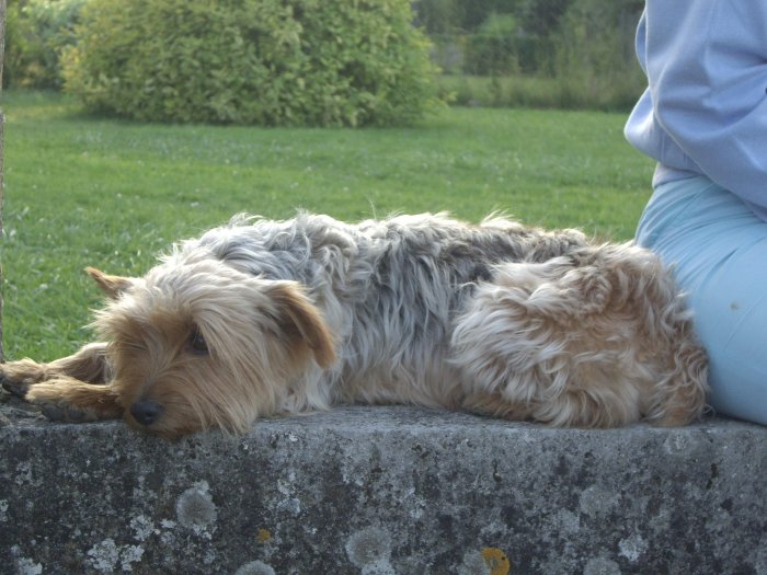 IMGP0983
