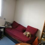 DSCF0264