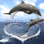 DAUPCOER_DV_I66.GIF_PREVIEW_WEB[1]