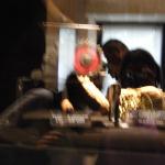 DSCF0066