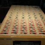 DSCF0079