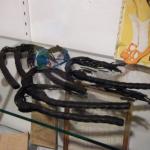 DSCF0094