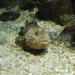 DSCF0116