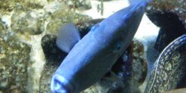 vacances a la grande motte