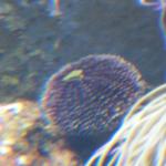 DSCF0128