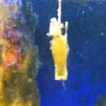 DSCF0131