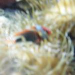 DSCF0136