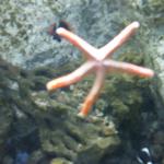 DSCF0138
