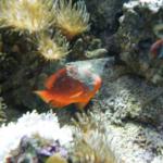 DSCF0139