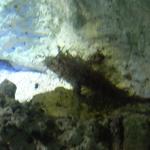 DSCF0143