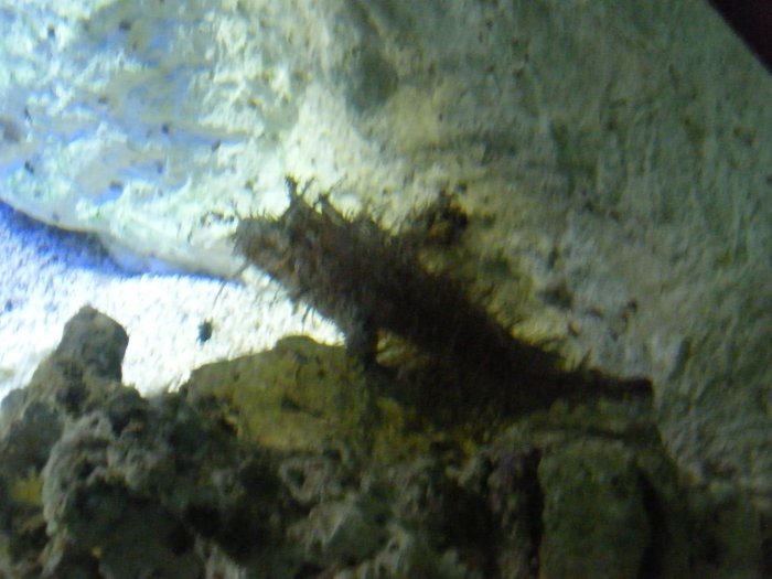 DSCF0143