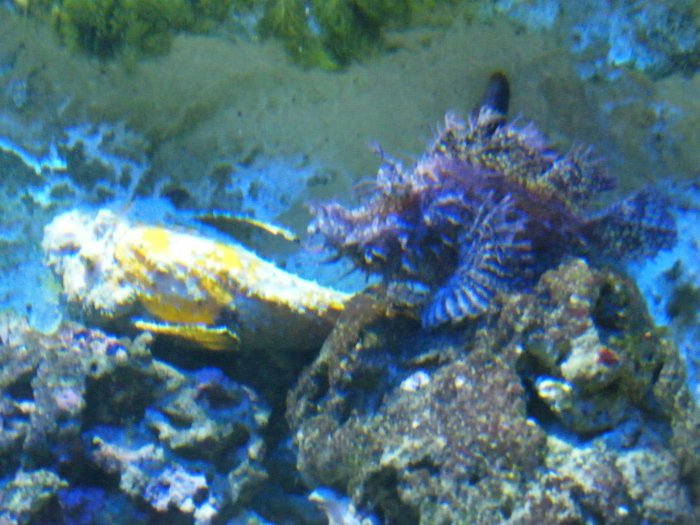 DSCF0144