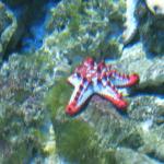 DSCF0145