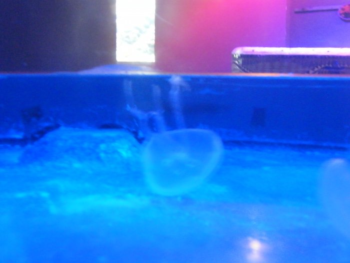 DSCF0148