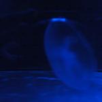 DSCF0149