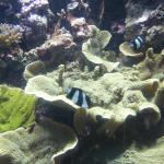 DSCF0152