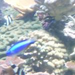 DSCF0153