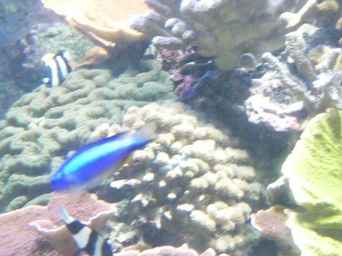 DSCF0153