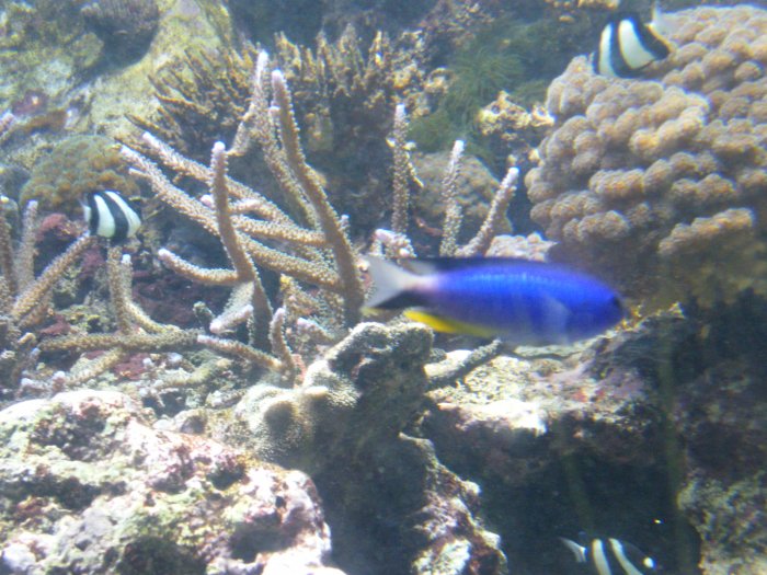 DSCF0154