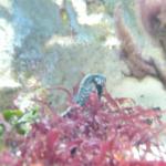 DSCF0158