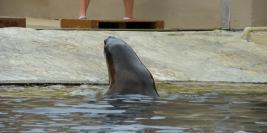 vacances a la grande motte