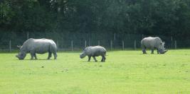 cerza 31 juillet 2009