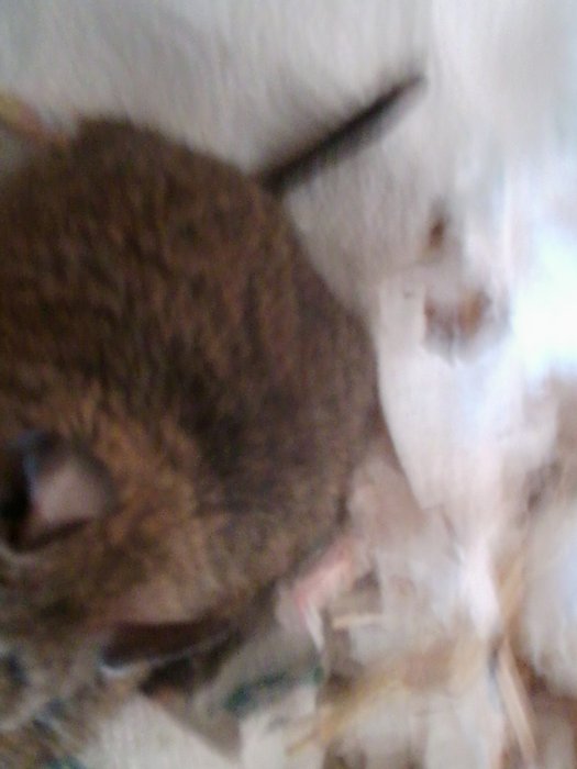 Photo0031