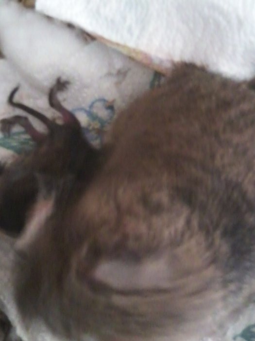 Photo0032