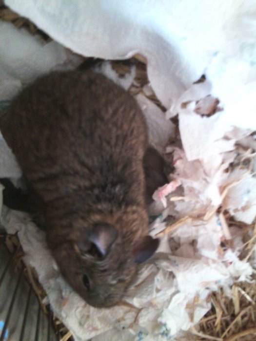 Photo0033