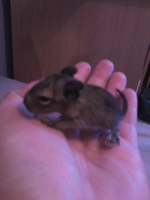 Photo0043