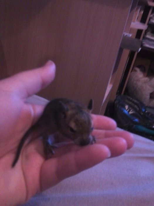 Photo0044