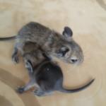 Photo0059