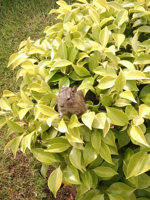Photo0095