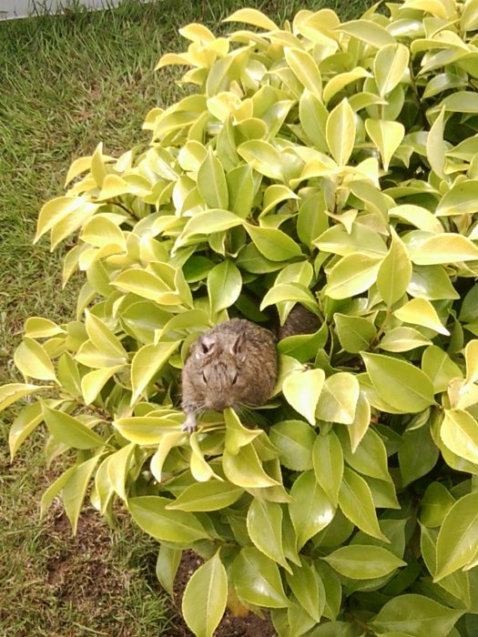 Photo0096