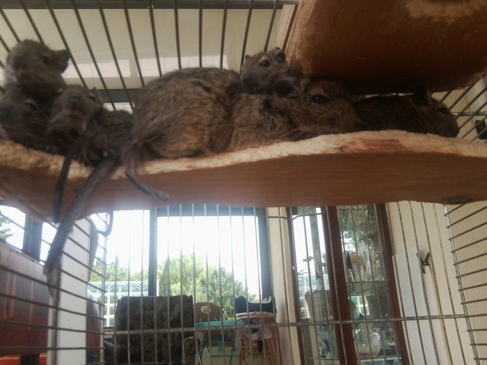 Photo0113