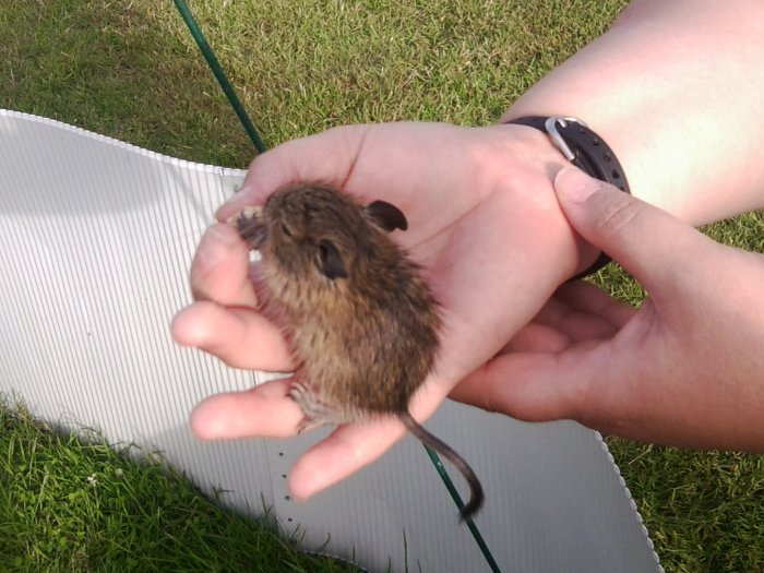 Photo0129