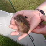 Photo0129