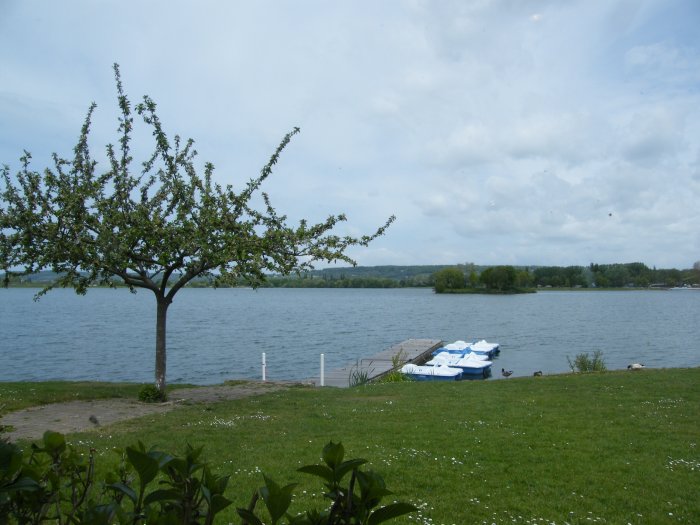 DSCF4001