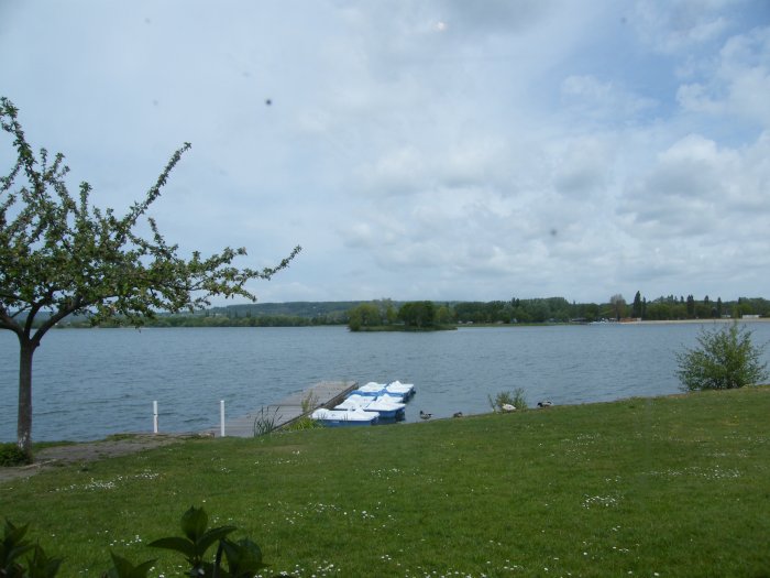 DSCF4003