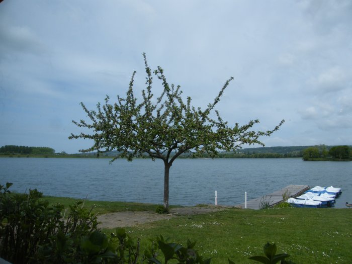 DSCF4004