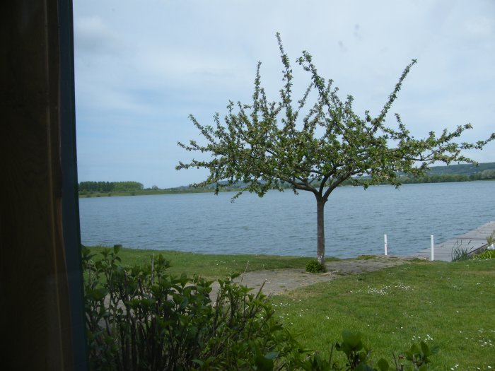 DSCF4005