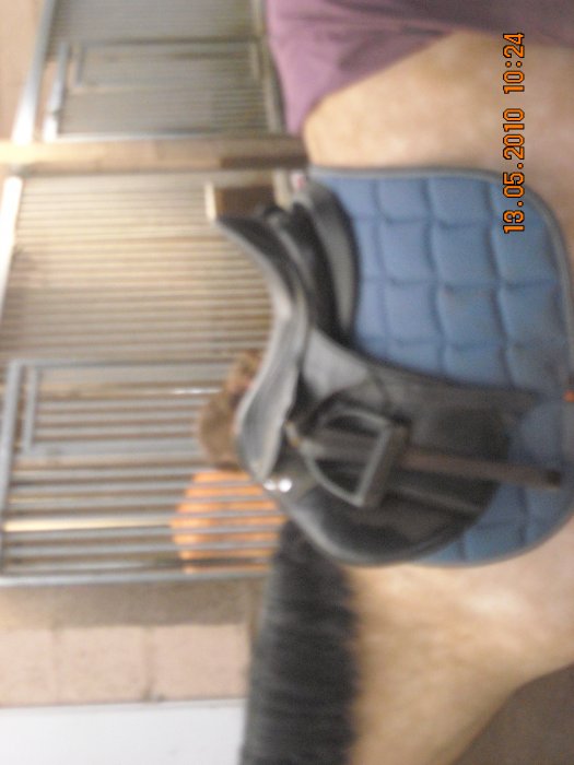 DSCN2206