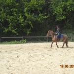 DSCN2267