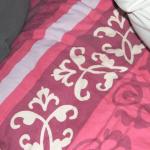 DSCF4554