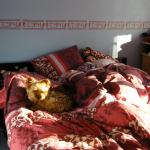 DSCF2011