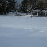 DSCF2022