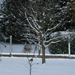 DSCF2023